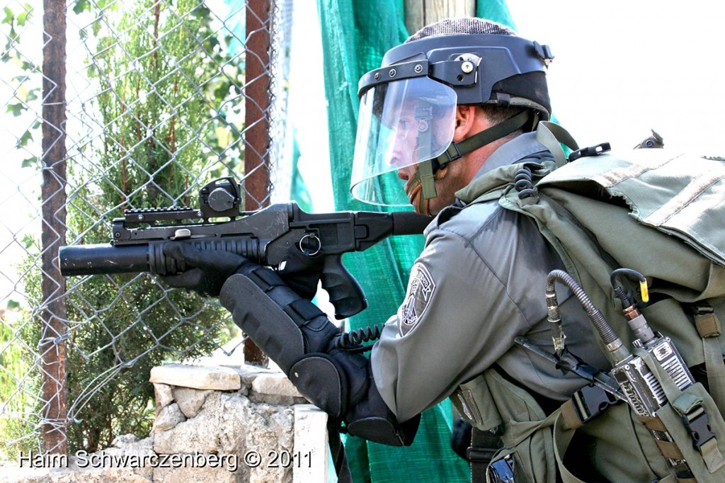 Nabi Saleh 09/09/2011 | IMG_3187