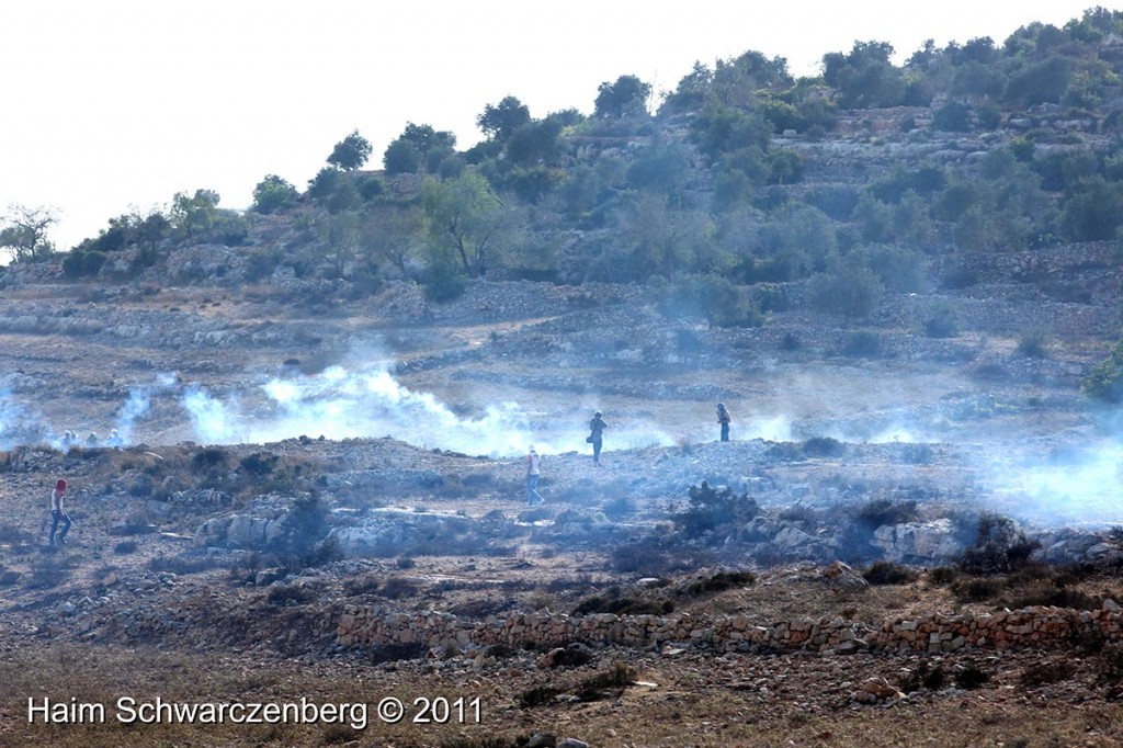 Nabi Saleh 09/09/2011 | IMG_3260