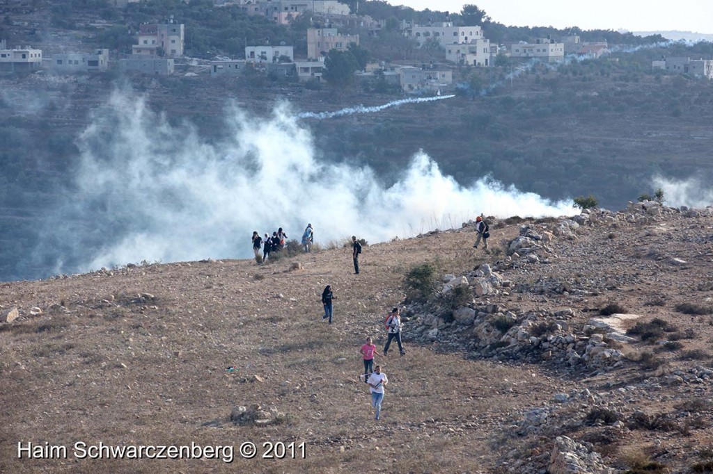 Nabi Saleh 09/09/2011 | IMG_3274