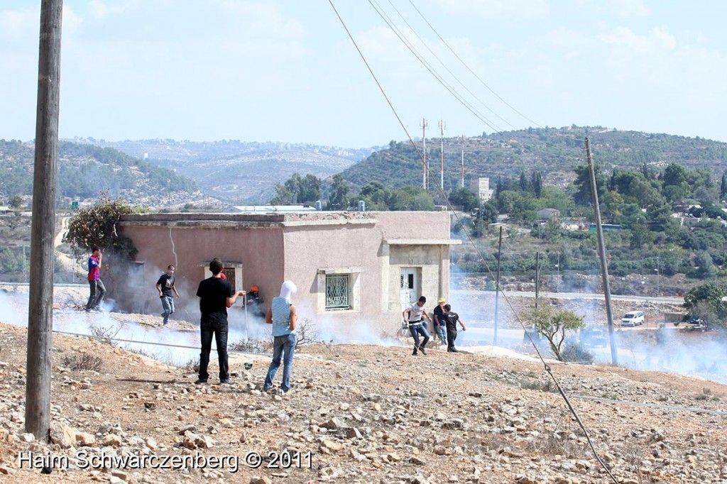 Nabi Saleh 30/09/2011 | IMG_5941