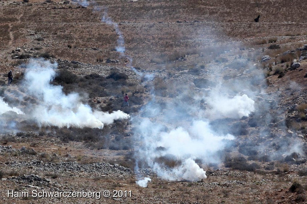 Nabi Saleh 30/09/2011 | IMG_6063