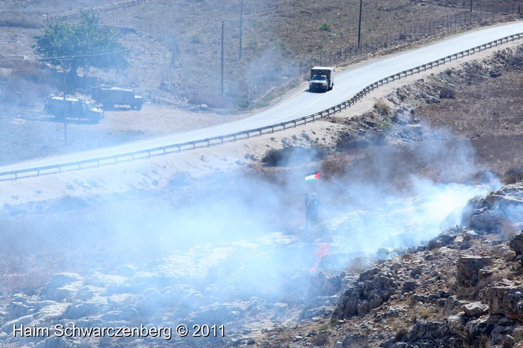 Nabi Saleh 30/09/2011 | IMG_6086