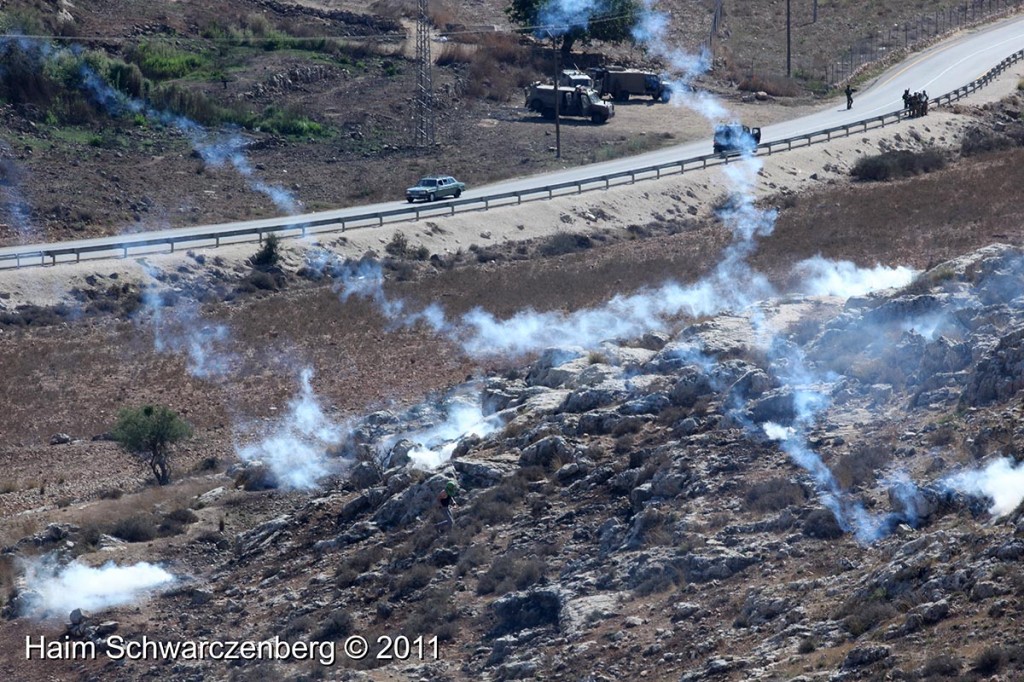 Nabi Saleh 30/09/2011 | IMG_6101