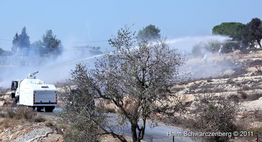 Nabi Saleh 28/10/2011 | IMG_9596