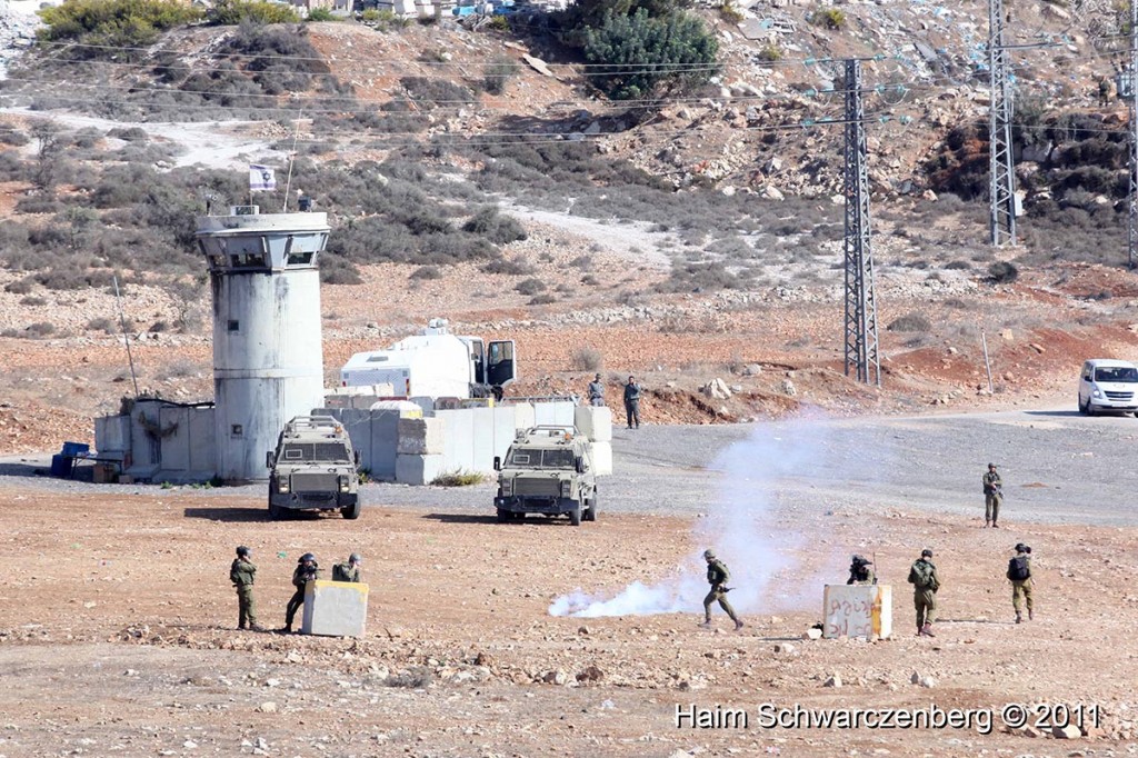 Nabi Saleh 28/10/2011 | IMG_9799