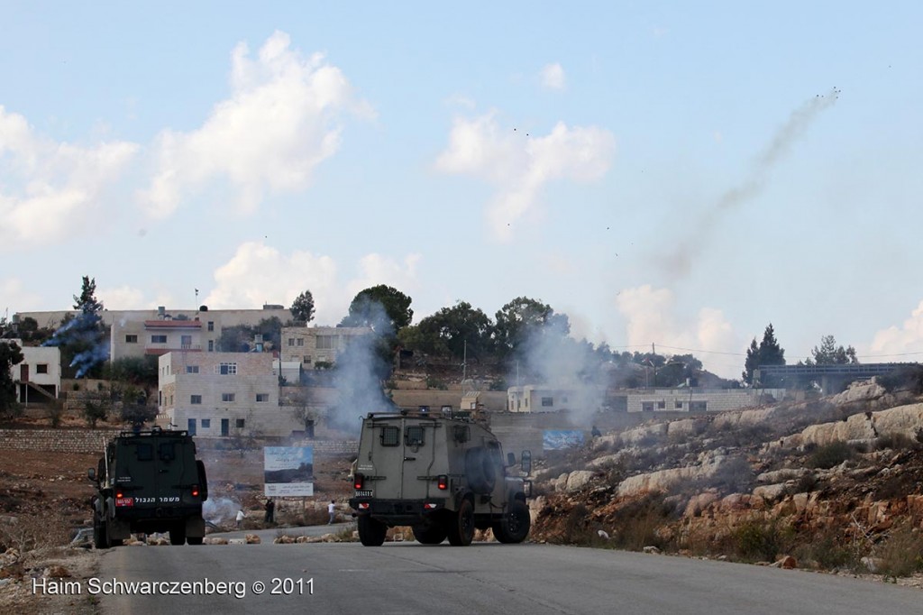 Nabi Saleh 04/11/2011 | IMG_0329