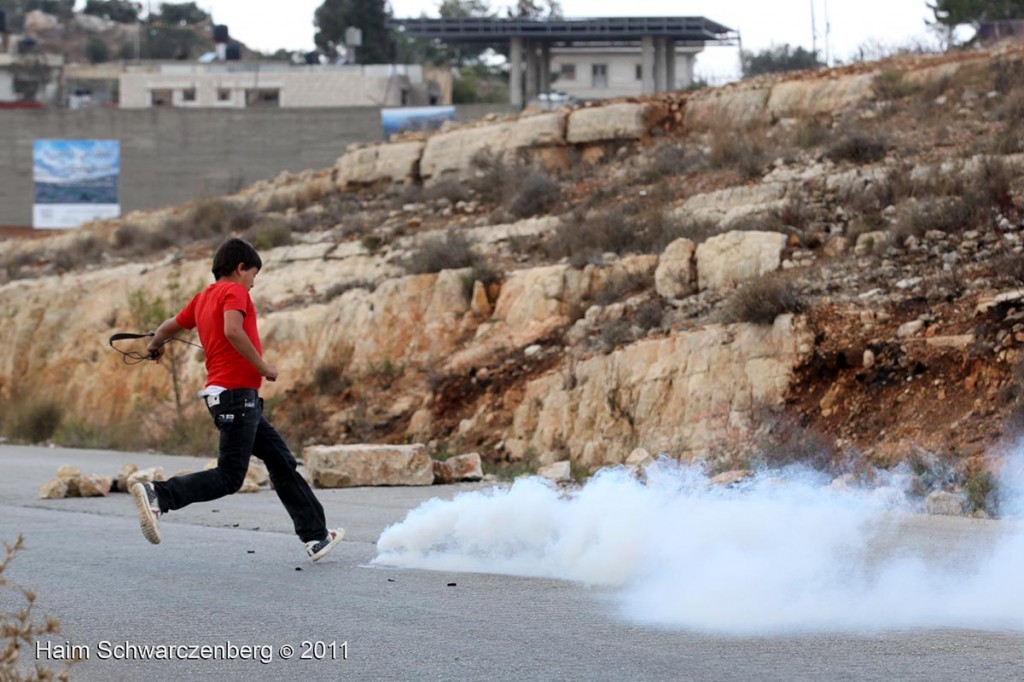 Nabi Saleh 04/11/2011 | IMG_0360