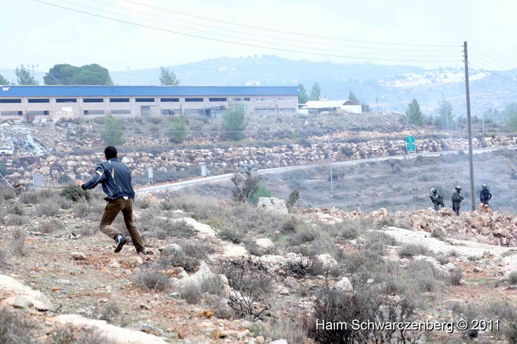 Nabi Saleh 18/11/2011 | IMG_2340