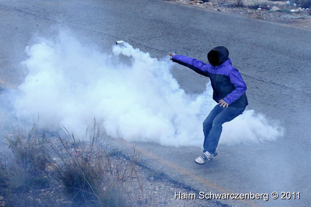 Nabi Saleh 18/11/2011 | IMG_2454