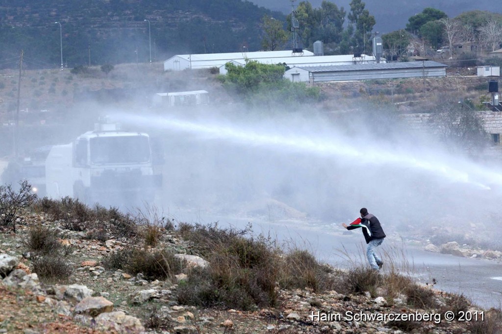 Nabi Saleh 18/11/2011 | IMG_2565