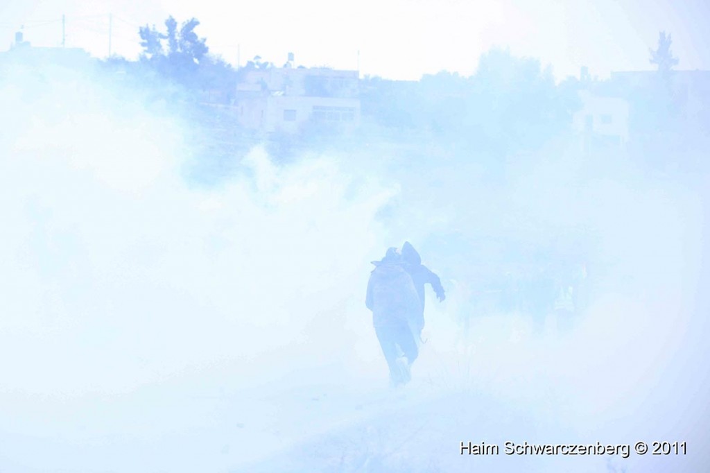 Nabi Saleh 18/11/2011 | IMG_2686