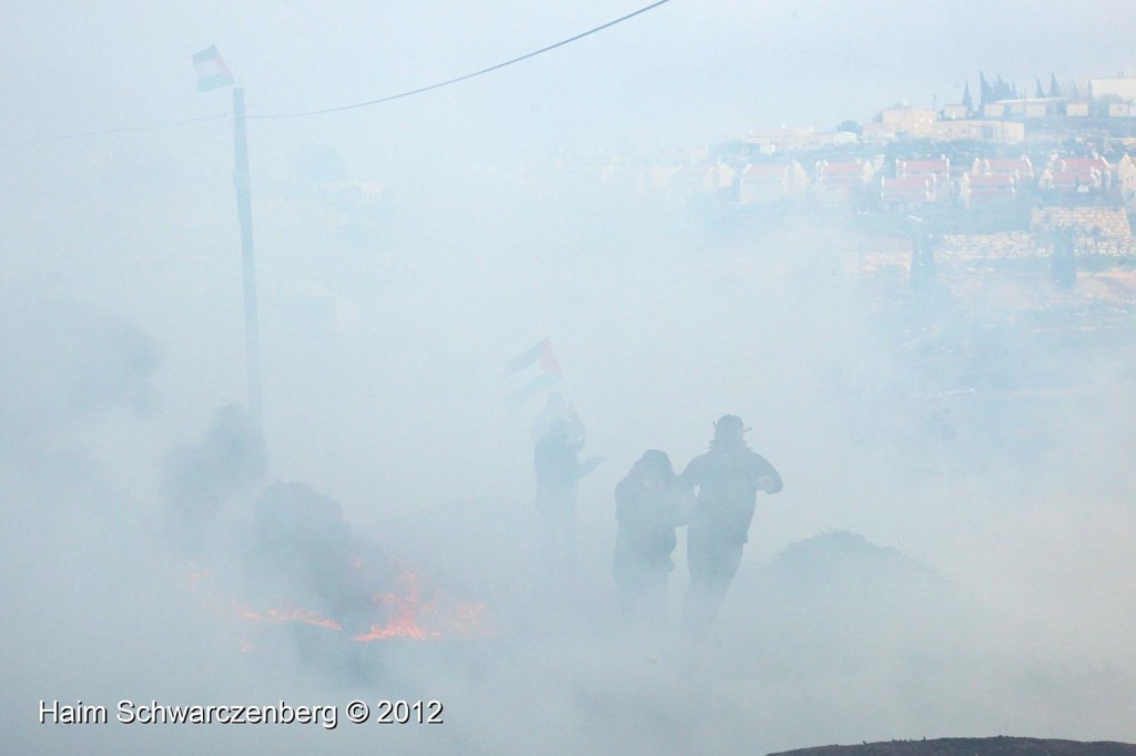 Kufr Qaddum 10/02/2012 | IMG_6894