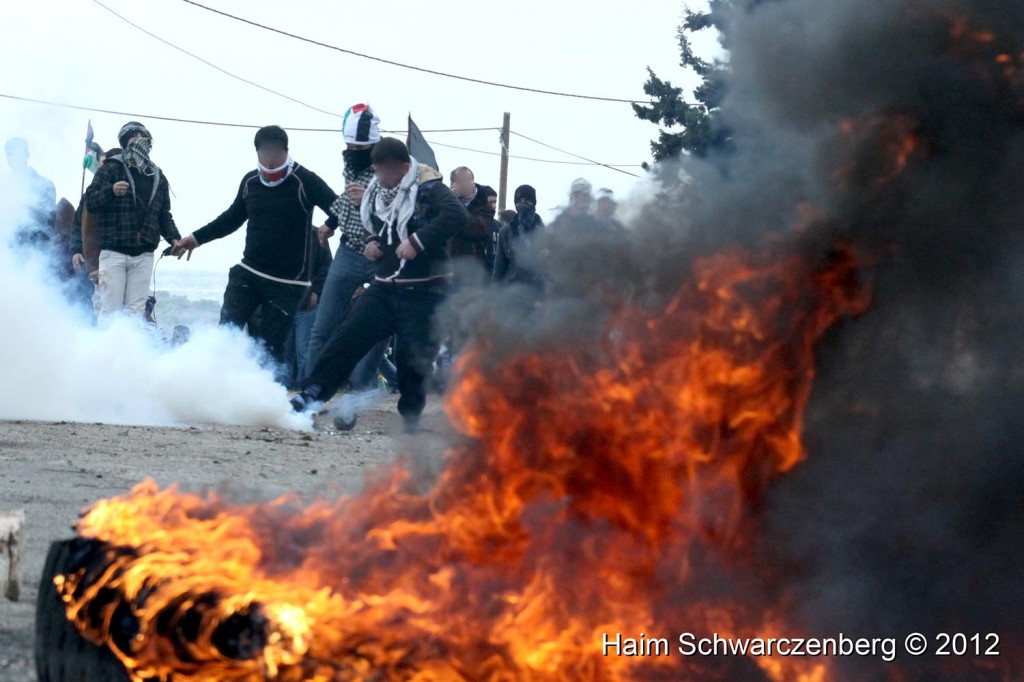 Kufr Qaddum 10/02/2012 | IMG_7059