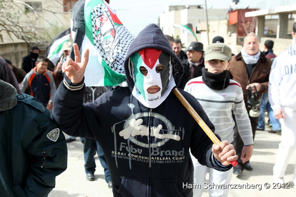 Kufr Qaddum 17/02/2012 | IMG_7706