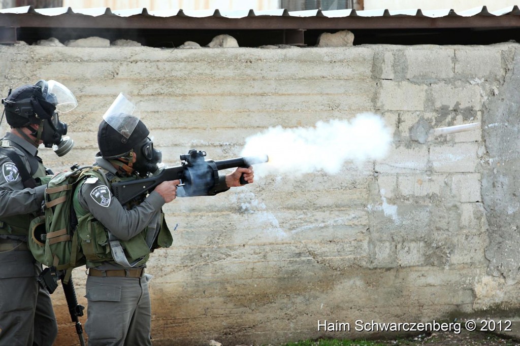 Kufr Qaddum 17/02/2012 | IMG_7790