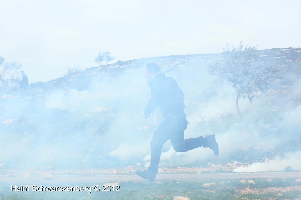 Kufr Qaddum 17/02/2012 | IMG_7849