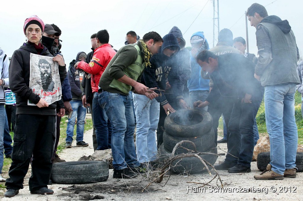 Kufr Qaddum 17/02/2012 | IMG_7900