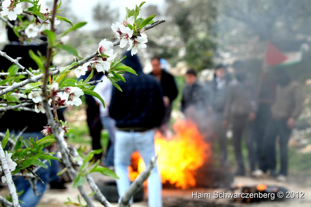 Kufr Qaddum 17/02/2012 | IMG_7905