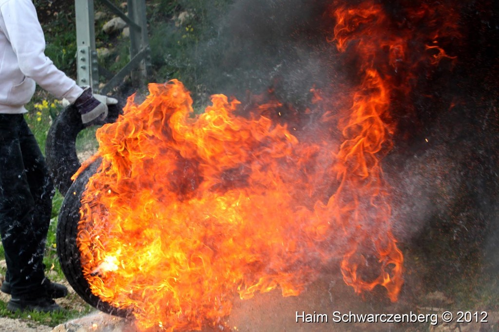 Kufr Qaddum 17/02/2012 | IMG_7929