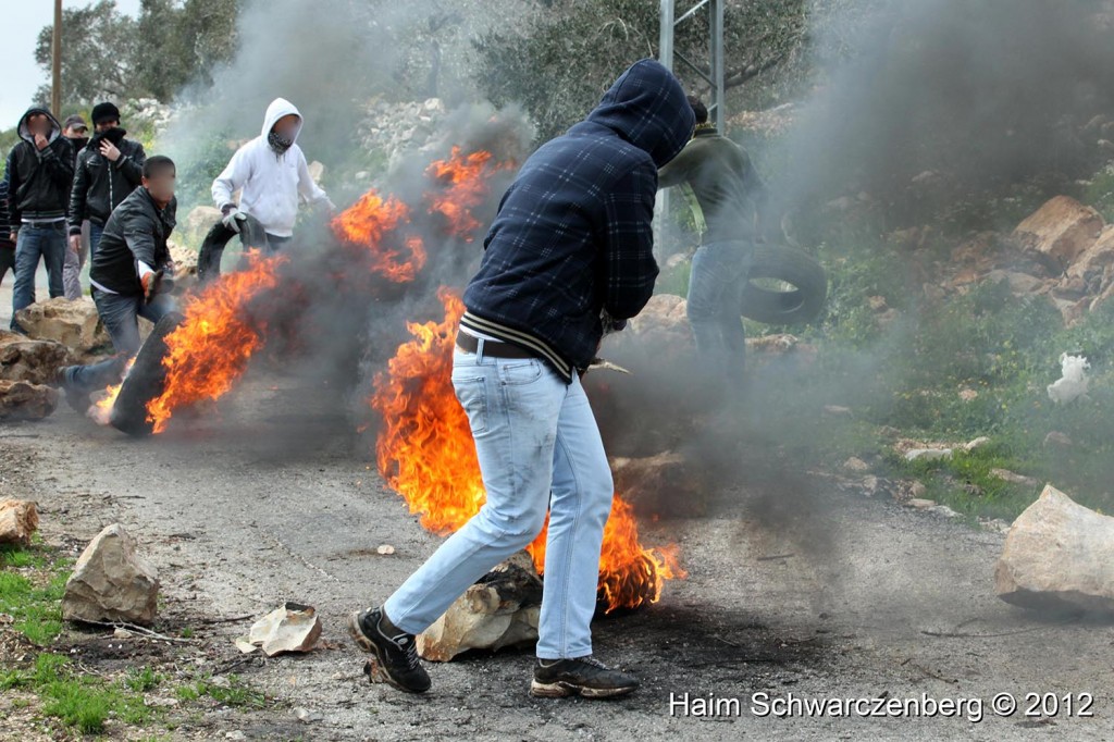 Kufr Qaddum 17/02/2012 | IMG_7938