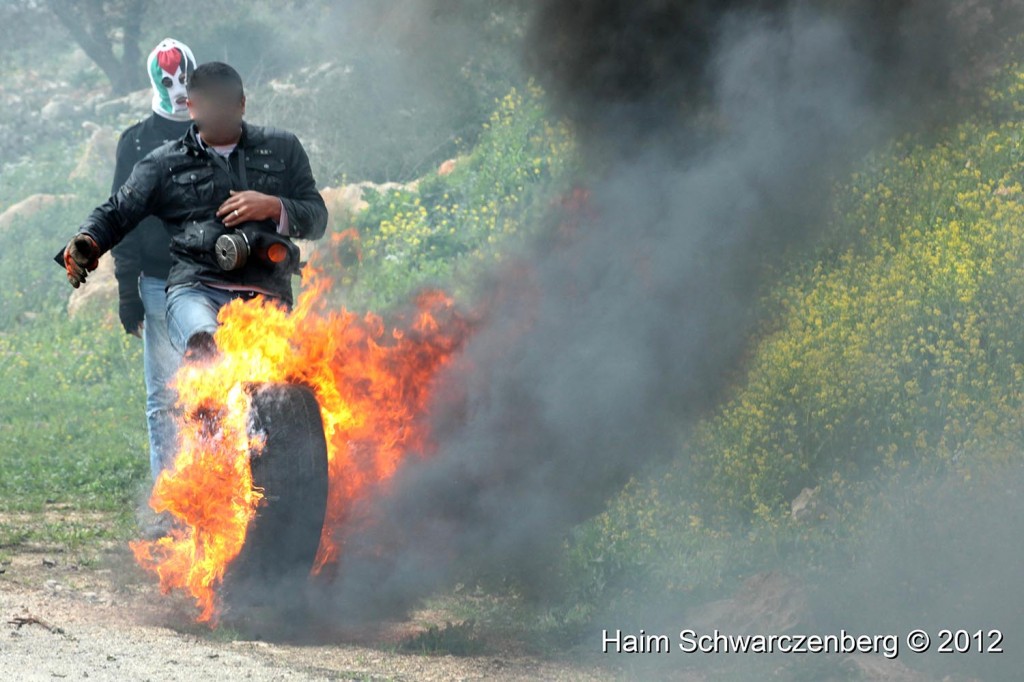 Kufr Qaddum 17/02/2012 | IMG_7946