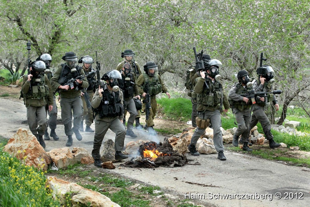 Kufr Qaddum 17/02/2012 | IMG_8064