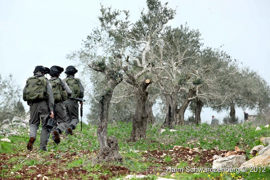 Kufr Qaddum 17/02/2012 | IMG_8078