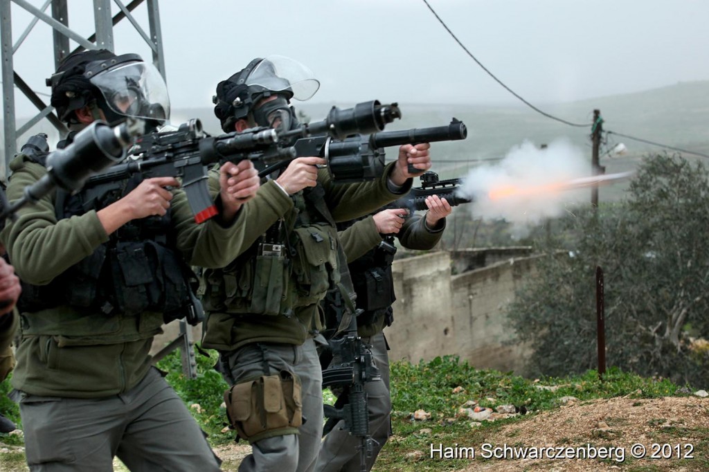 Kufr Qaddum 17/02/2012 | IMG_8169