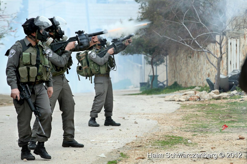 Kufr Qaddum 17/02/2012 | IMG_8216