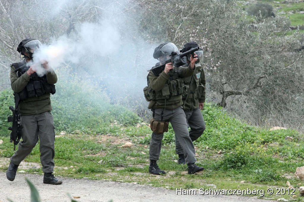 Kufr Qaddum 02/03/2012 | IMG_9781