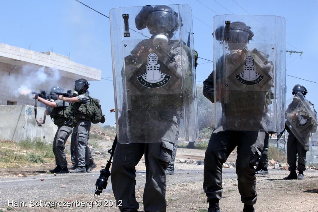 Kufr Qaddum 27/04/2012 | IMG_3869