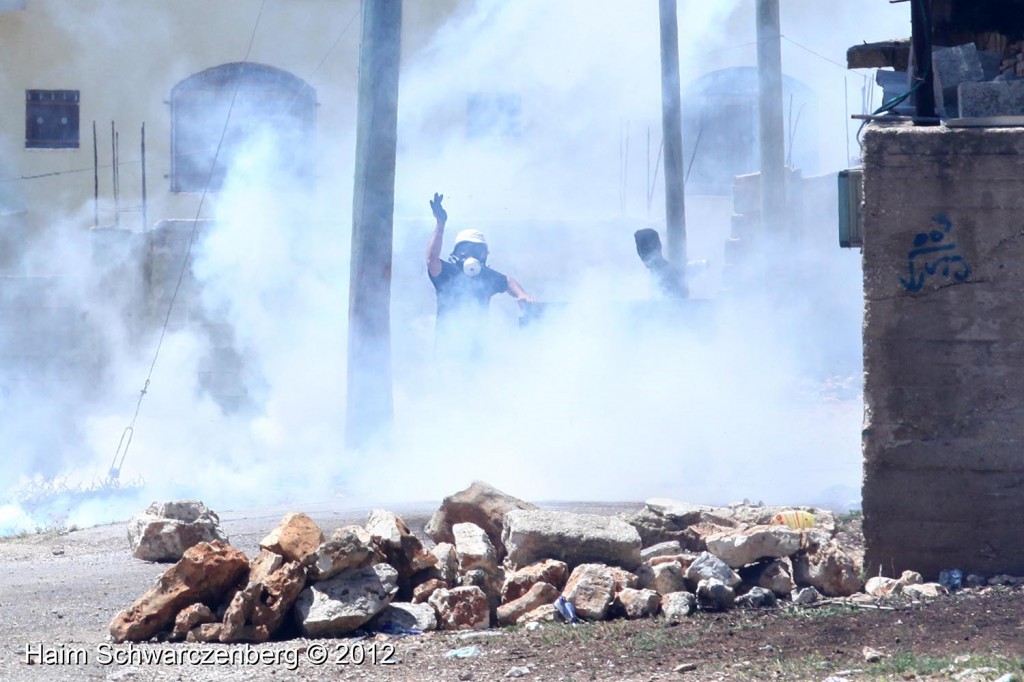 Kufr Qaddum 27/04/2012 | IMG_3947