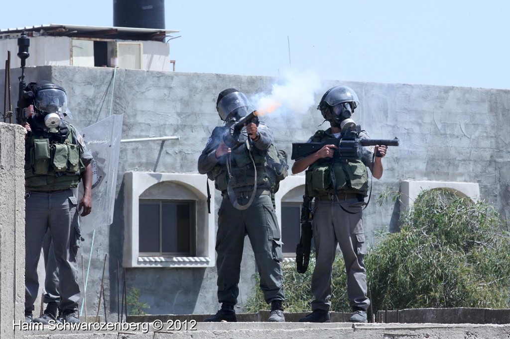 Kufr Qaddum 27/04/2012 | IMG_3972