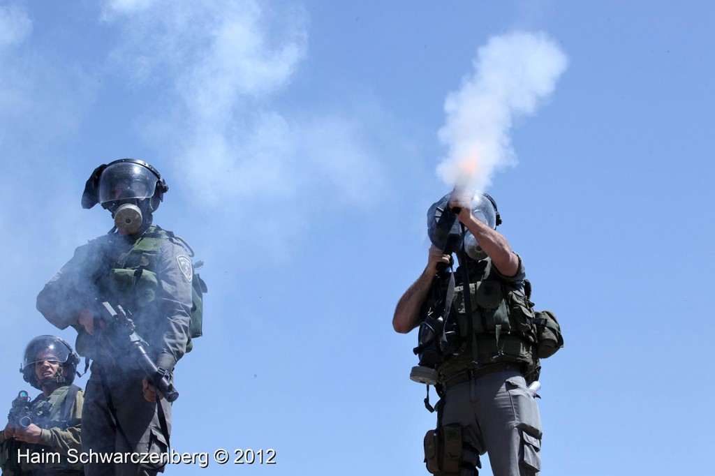 Kufr Qaddum 27/04/2012 | IMG_4016