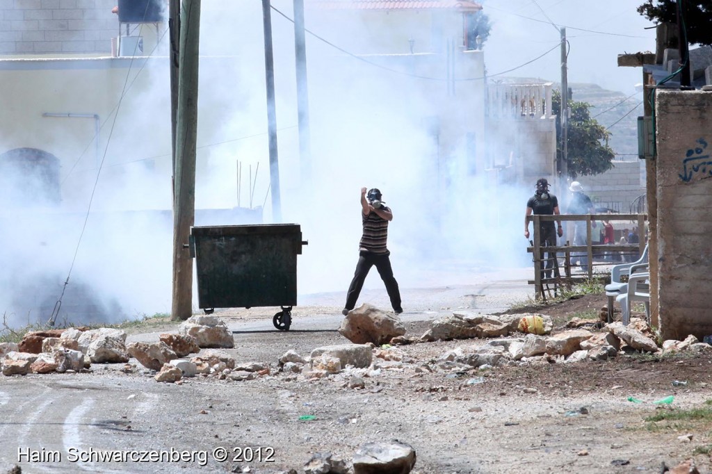 Kufr Qaddum 27/04/2012 | IMG_4028