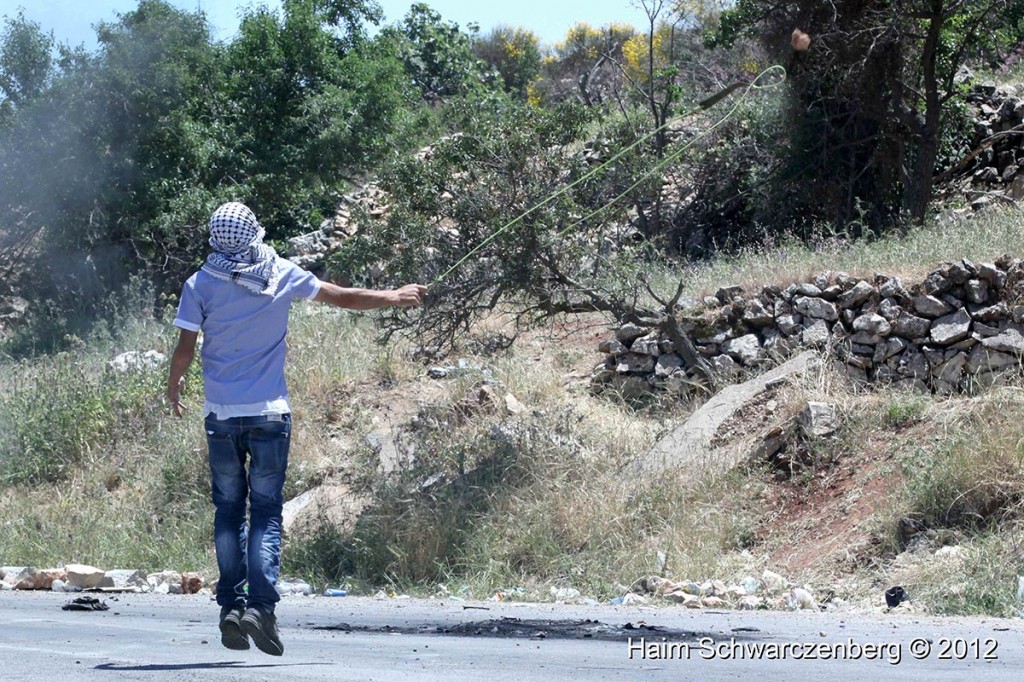 Protest in support of prisoners, Ofer prison | IMG_5246