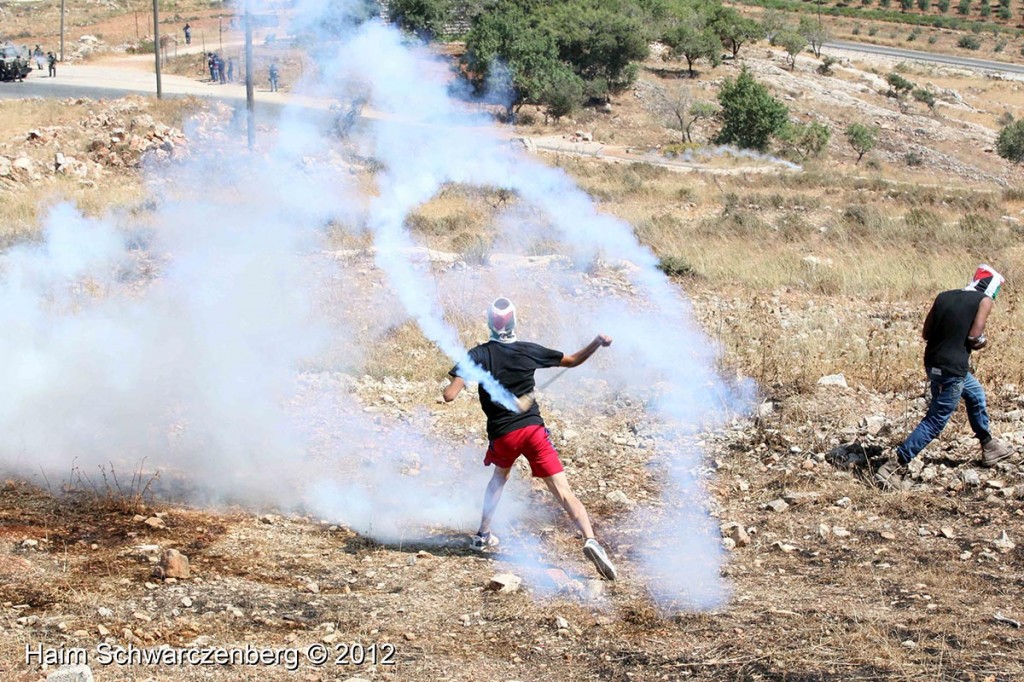 Nabi Saleh 08/06/2012 | IMG_0410