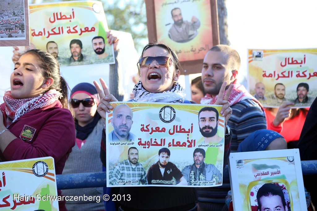 Protests in support of Prisoners on Hunger Strike. Ramla prison  | IMG_9985