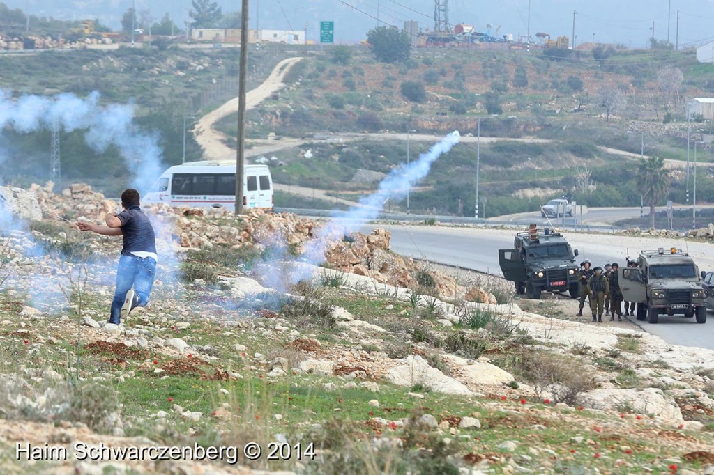 Nabi Saleh 14/02/2014 | IMG_4531