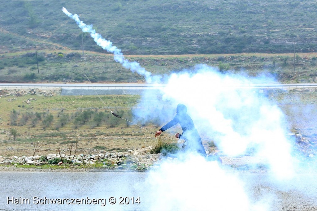 Nabi Saleh 14/02/2014 | IMG_4575