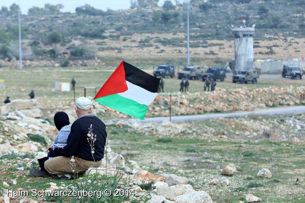 Nabi Saleh 14/02/2014 | IMG_4658