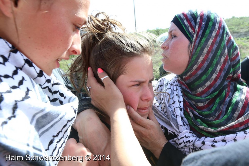 Nabi Saleh 07/03/2014 | IMG_6059