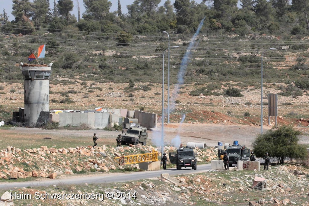 Nabi Saleh 07/03/2014 | IMG_7845