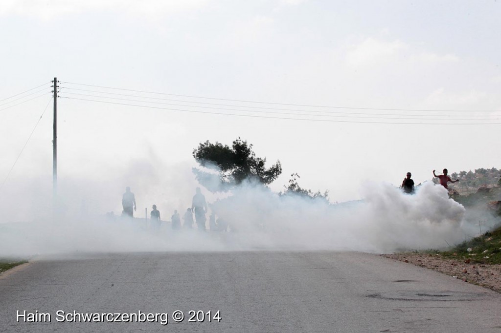 Nabi Saleh 21/03/2014 | IMG_8790