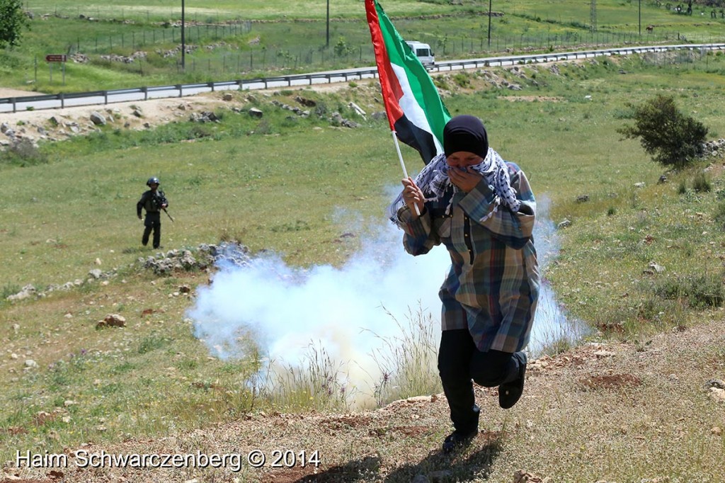 Nabi Saleh 18/04/2014 | IMG_0109