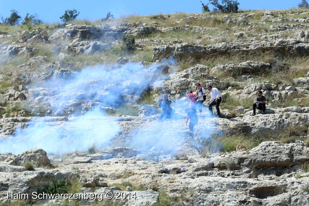 Nabi Saleh 18/04/2014 | IMG_0190