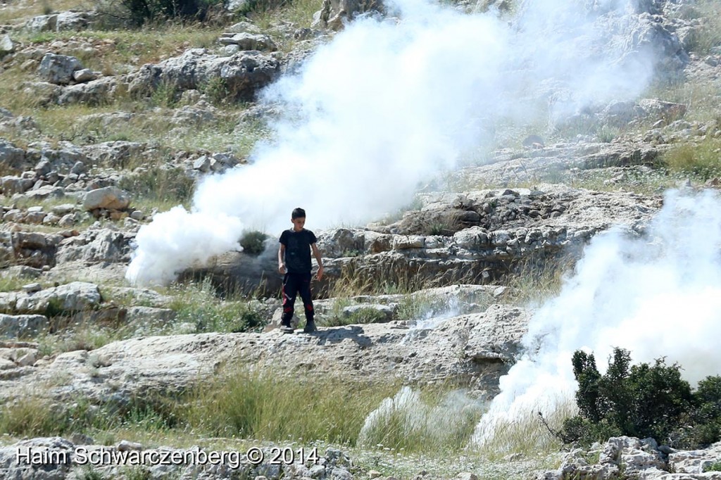 Nabi Saleh 18/04/2014 | IMG_0219