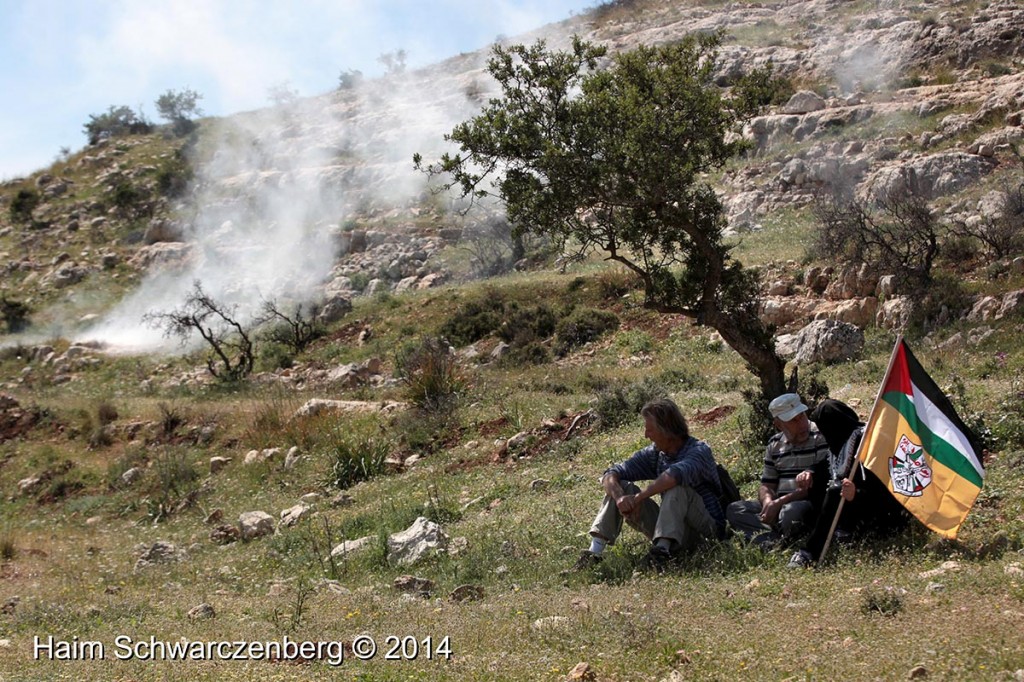 Nabi Saleh 11/04/2014 | IMG_9754