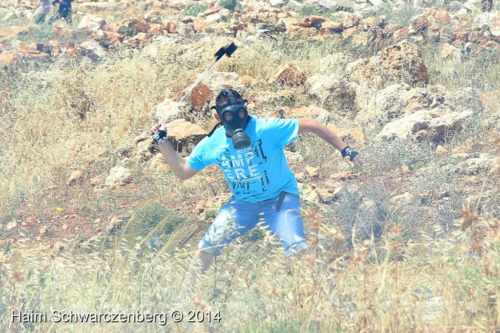 Nabi Saleh 09/05/2014 | IMG_1017