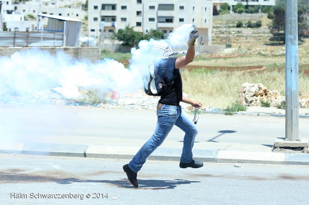 66th Nakba Day Commemoration, Ofer Military Prison, Bitunia 15/05/2014 | IMG_1555